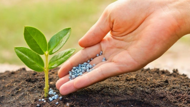 Phân Bón Là Gì? Kiến Thức, Phân Loại Và Cách Sử Dụng Hiệu Quả