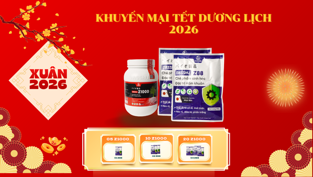 Khuyến mãi phân bón Dasshu Tết Dương Lịch 2026: Giải pháp bón phân đầu vụ
