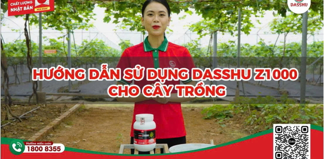 Hướng dẫn sử dụng dasshu đúng cách