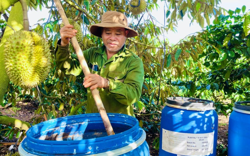 Nhà vườn hưởng lợi từ Black Friday Dasshu