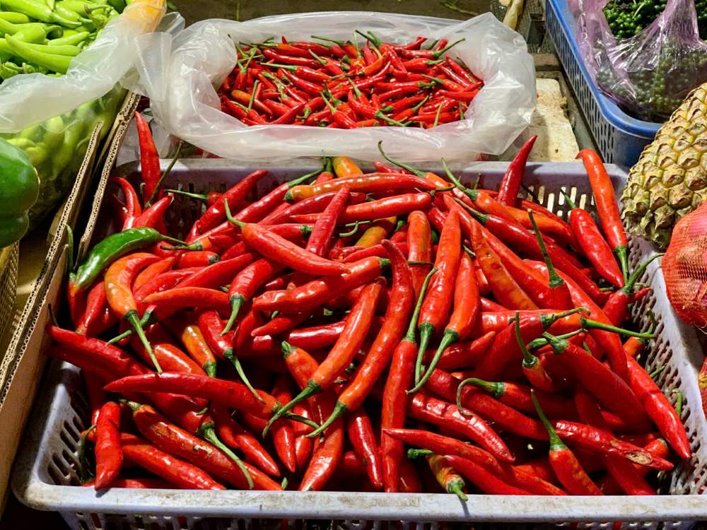 Ớt đạt tiêu chuẩn giúp bán được giá tốt