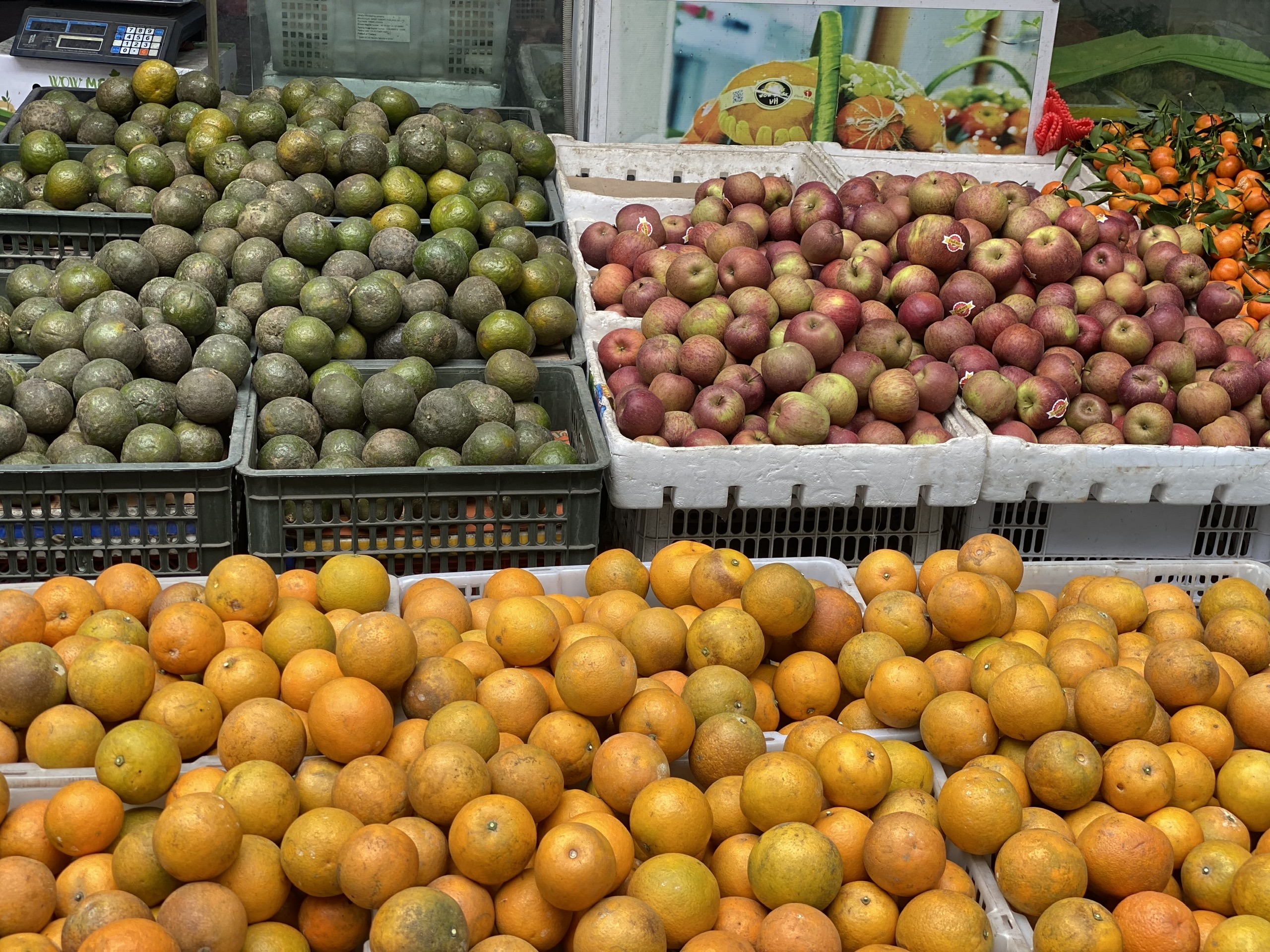 Giá cam Canh hôm nay tại vườn và thị trường bán lẻ