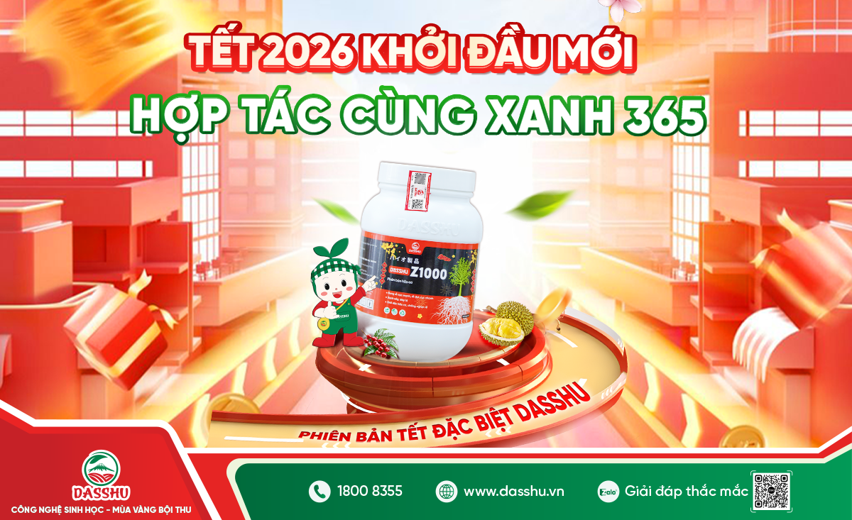 Dasshu Z1000 giúp cây ra rễ khỏe – đọt mạnh – phục hồi nhanh